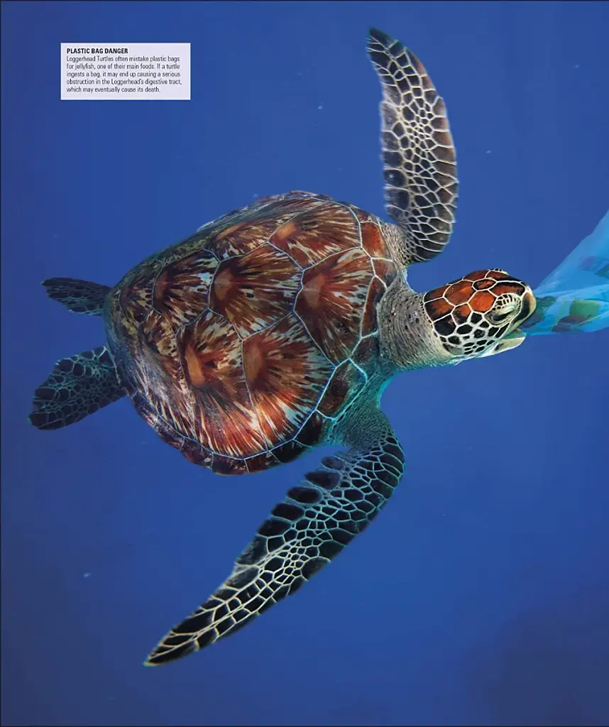 Ocean. The Definitive Visual Guide - фото 10