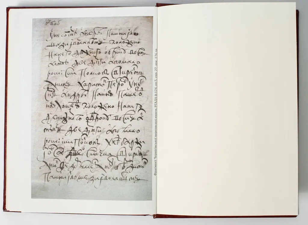 Чернігівська переписна книга 1666 року - Сергій Горобець - фото 11