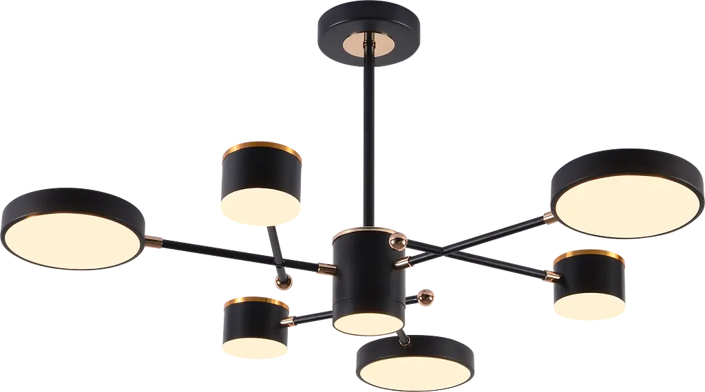 Люстра светодиодная акриловая Sirius B X13287/6 BK+FGD - фото 2