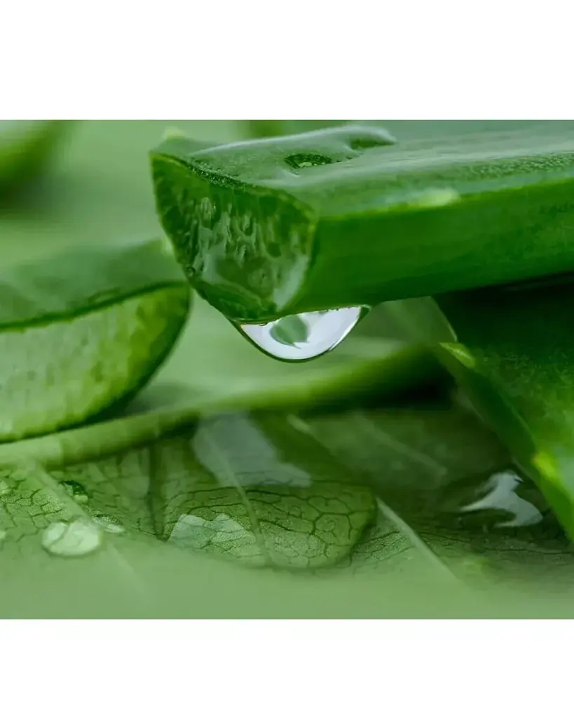 LULULUN Premium Face Mask Okinawa Aloe заспокійлива маска з екстрактом алое, 1 шт х 5 уп - фото 3