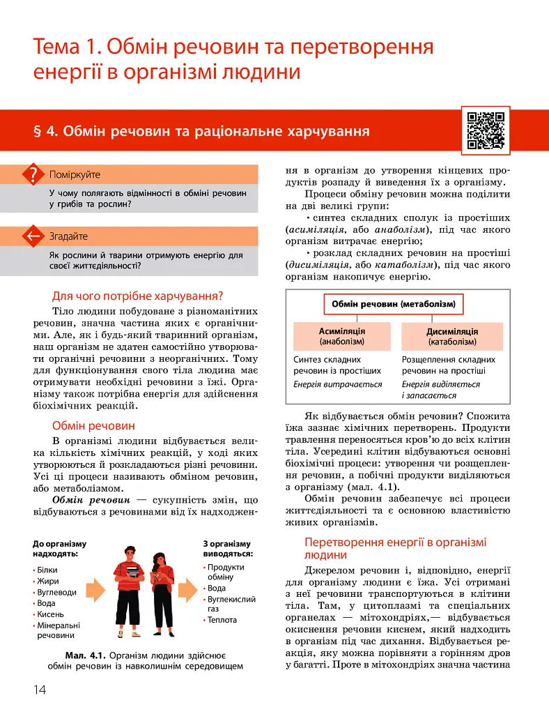 Біологія. Підручник з поглибленим вивченням. 8 клас - Костянтин Задорожний - фото 14