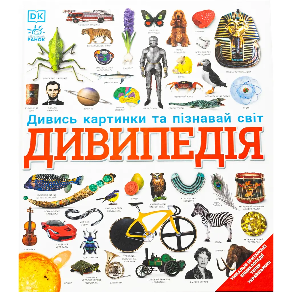 Дивипедія - Дивись картинки та пізнавай світ. Ранок