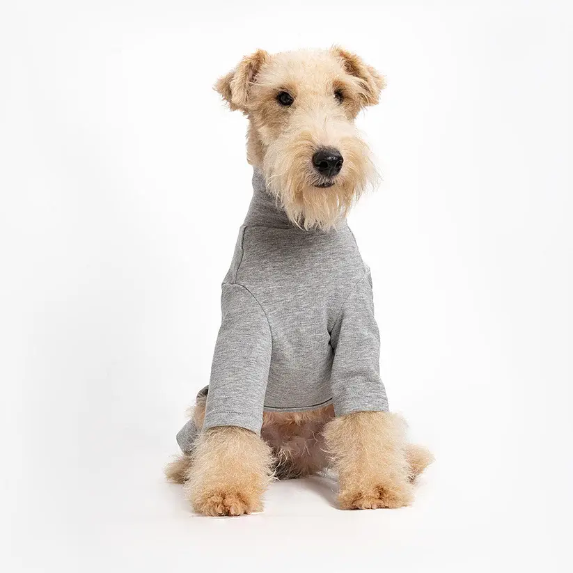 Базовий комбінезон/піжама для собак V.PET.B.R. Dog Jumpsuit CF36 Grey - фото 4