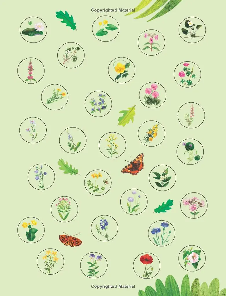 Flowers to Spot. Usborne Minis - фото 6