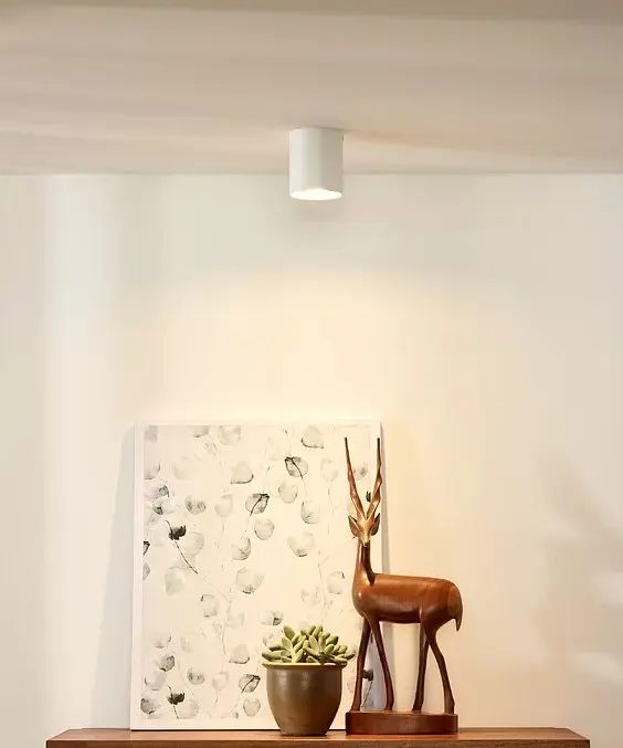 Подсветка тубус Brille накладная AL-81/1 GU10 SWH IP20 MR16 26-817 - фото 5