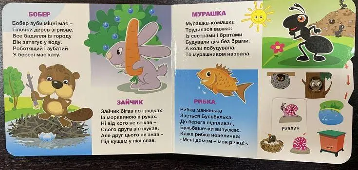 Книга Рухомі картинки. Хто ж де живе? kni0003626 - фото 4
