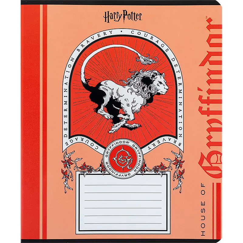 Набір зошитів Kite Harry Potter А5 в лінійку 18 аркушів 20 шт. (HP24-237) - фото 2