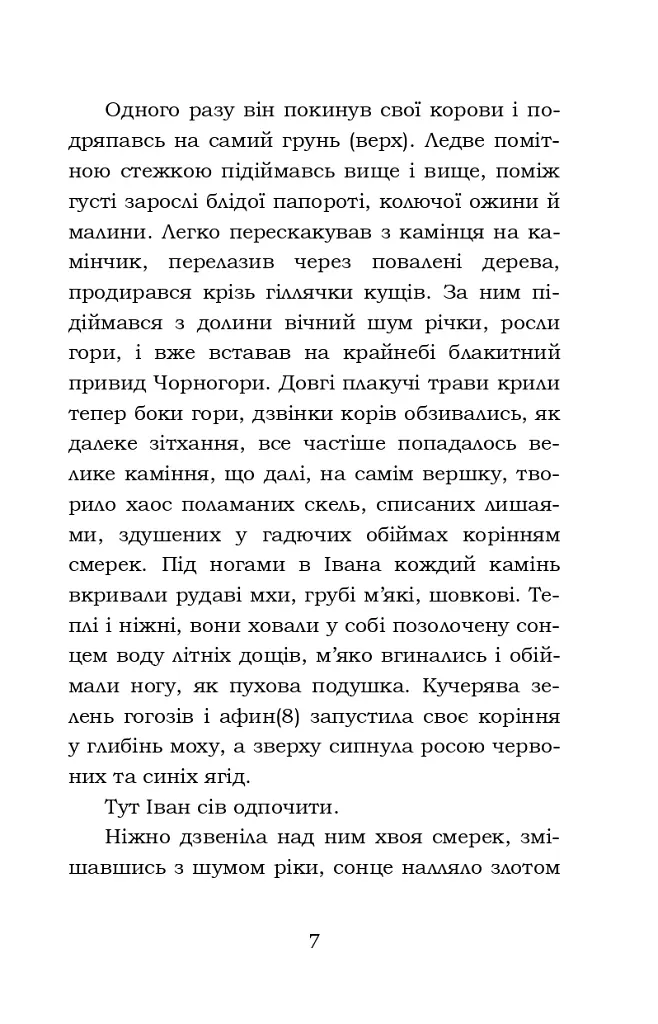 Тіні забутих предків. Intermezzo. Дорогою ціною - фото 7
