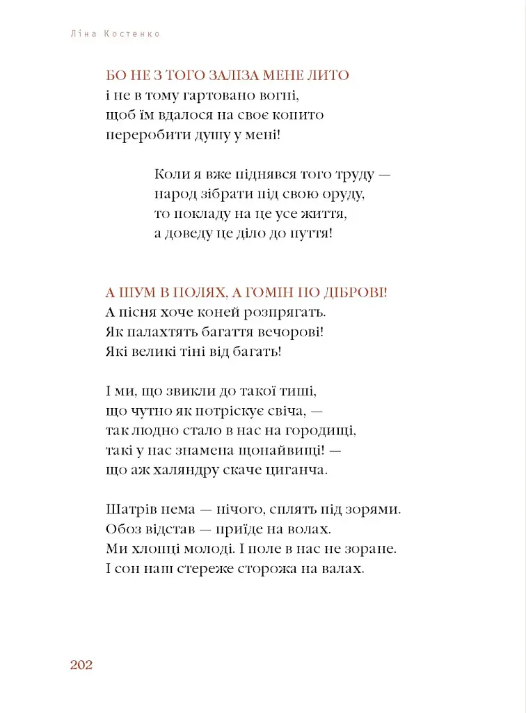 Берестечко - фото 3