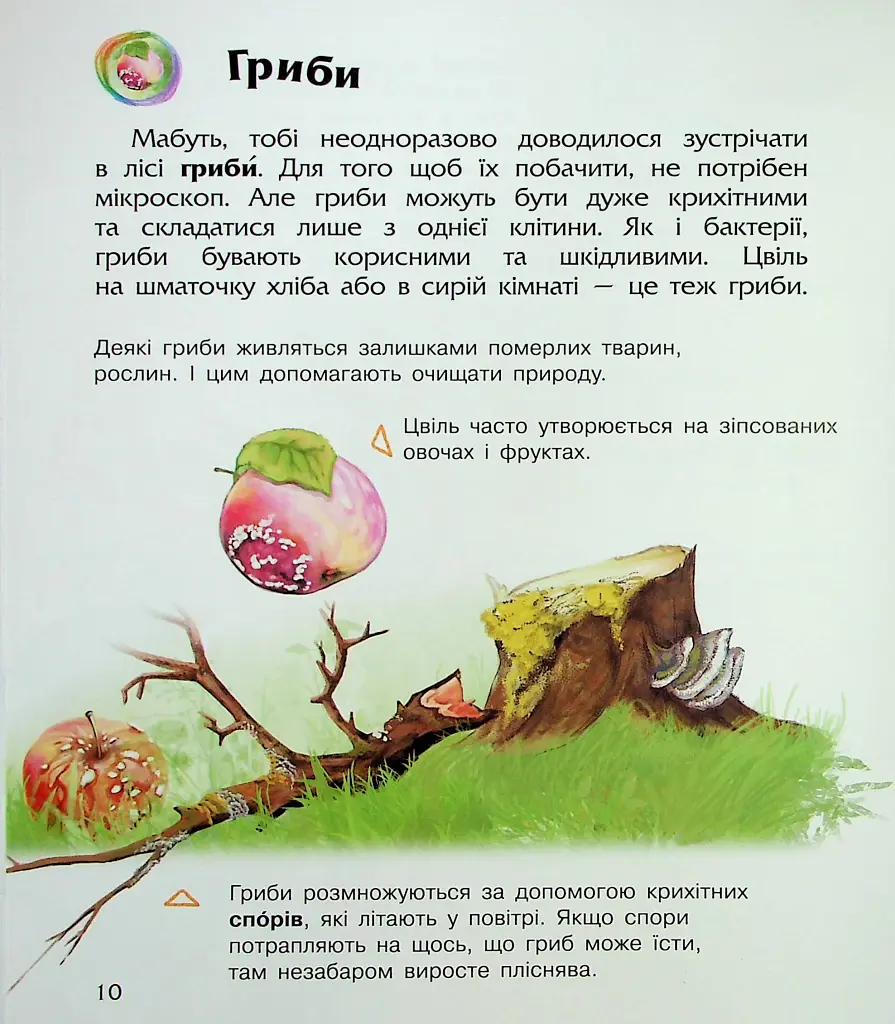Енциклопедія дошкільника. Мікроби - фото 13