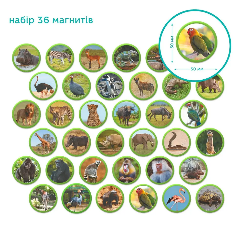 Дитячий магнітний набір Монтесорі "Тварини на континентах: Африка" 200284, 36 елементів - фото 4