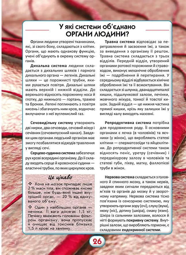 Ви маєте це знати. Усе про все - - фото 4