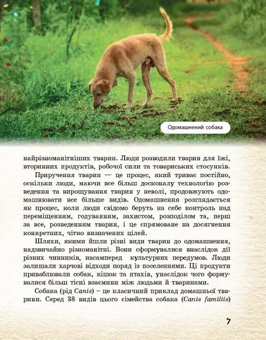 Тварини навколо нас - Світлана Огієнко - фото 4