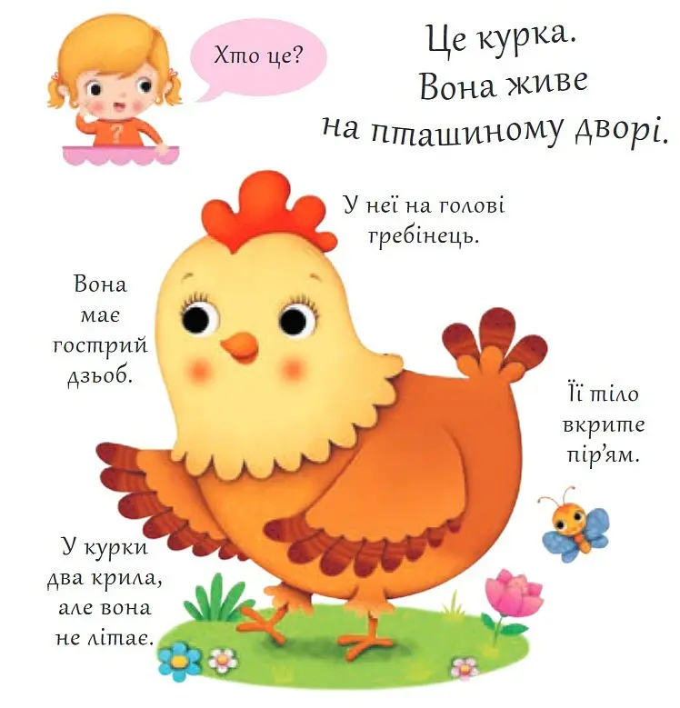 Книга Хто це? Кури. Автор - Емілія Бомон, Наталя Беліно (Богдан) - фото 2
