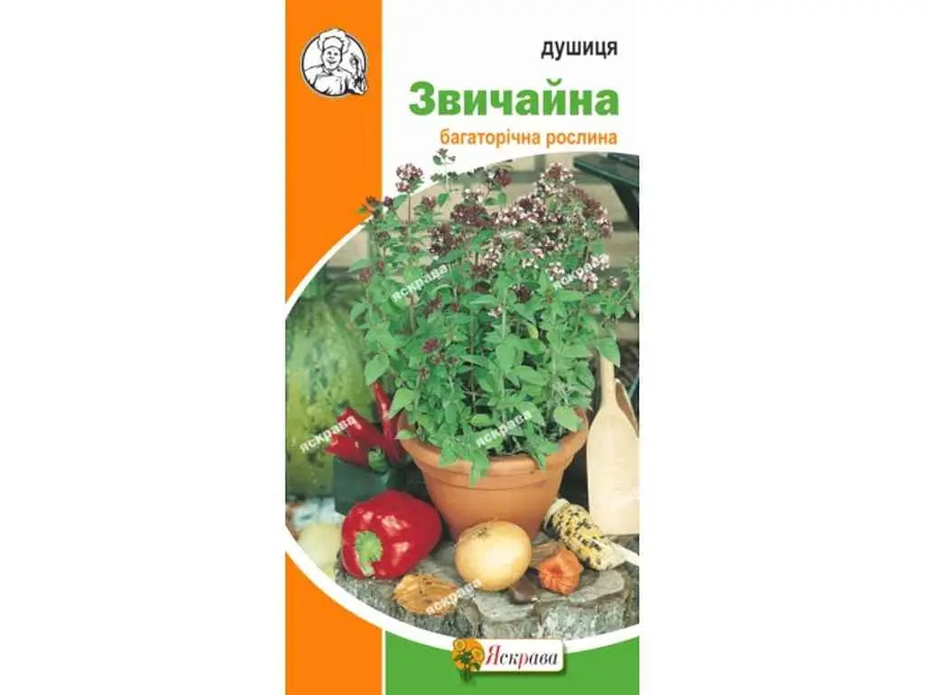 Душниця ЯСКРАВА звичайна (20 пачок) 0,1г