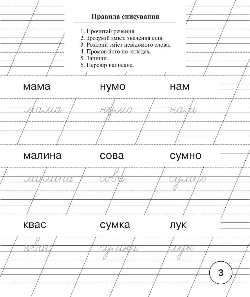 Українська мова. 1 клас. Зошит для списування з калькою - фото 2