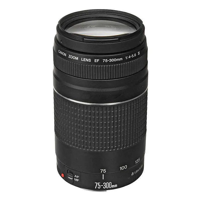 Зеркальный фотоаппарат Canon EOS 2000D kit (18-55 mm + 75-300 mm) black (2728C017) - фото 8