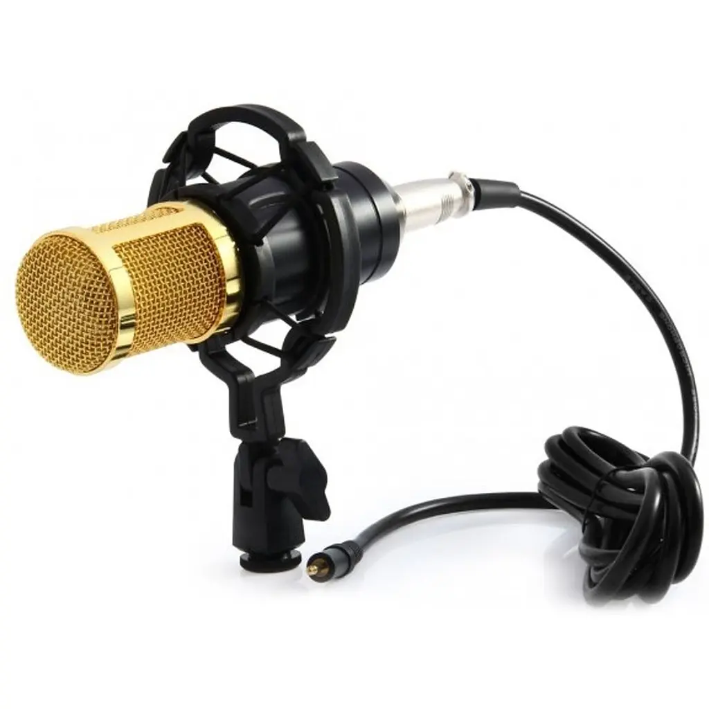 Мікрофон XPRO DM-800 студійний з підсилювачем (DM 800_832) - фото 5
