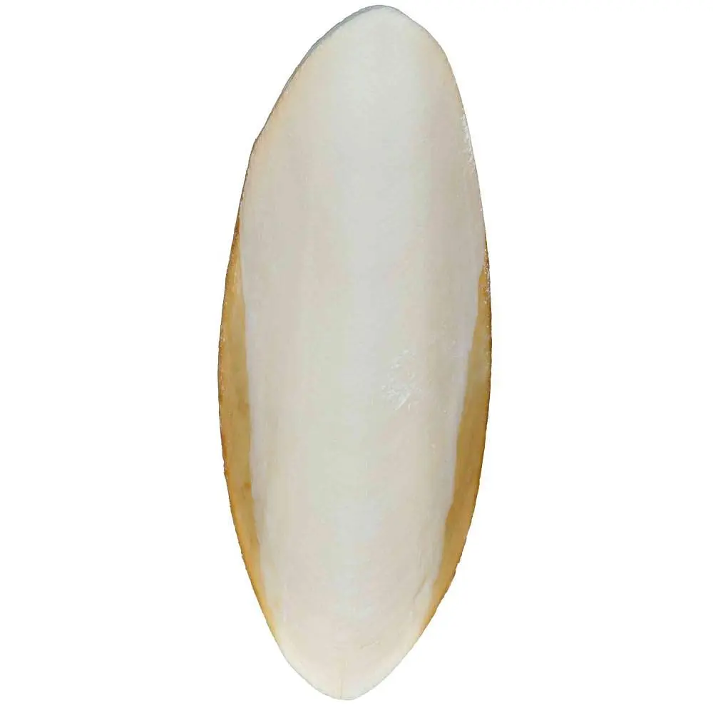 Мел сепия Trixie в упаковке 12 см, 2 шт - фото 3