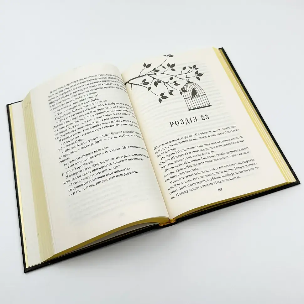 Блиск - Рейвен Кеннеді | Клуб Сімейного Дозвілля, книга українською, нова, тверда - фото 3