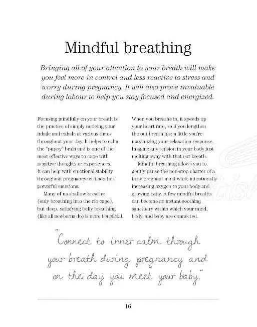 Mindful Pregnancy - фото 2