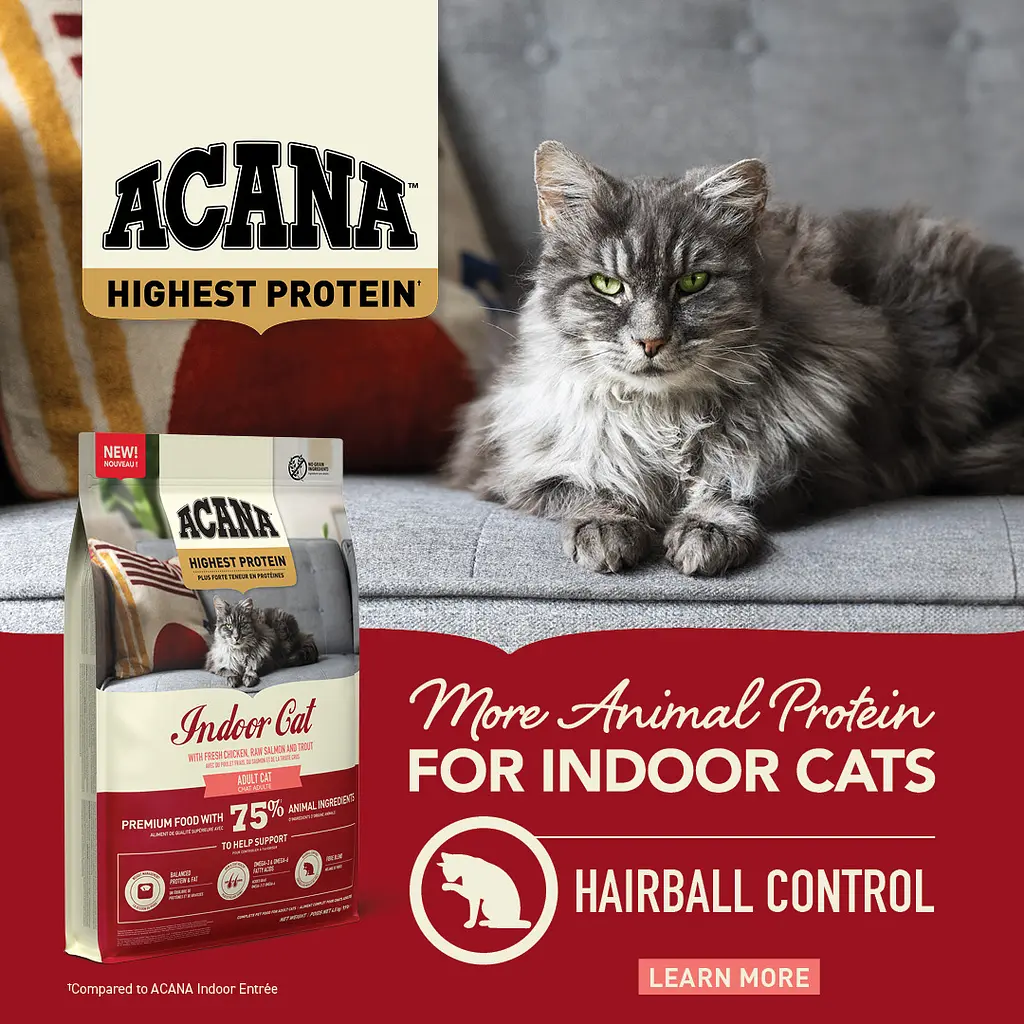 Сухий корм для котів Acana Highest Protein Indoor Cat 1.8 кг a72397 - фото 2