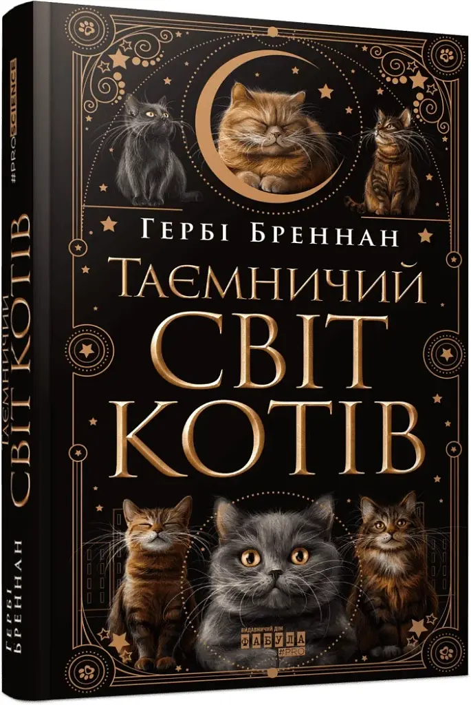 Таємничий світ котів - фото 2