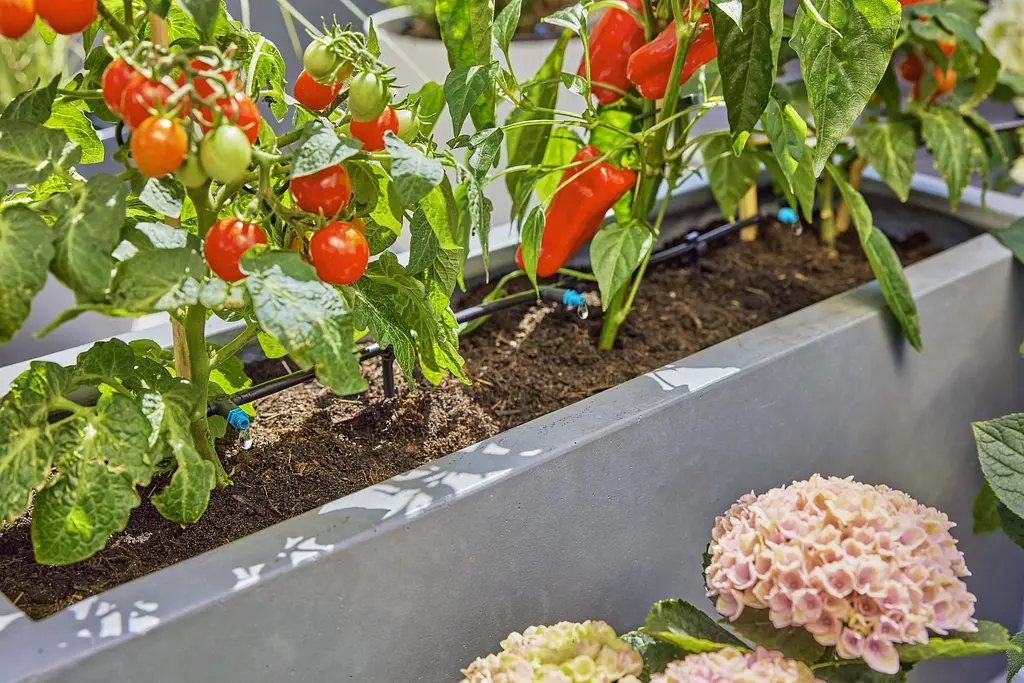 Комплект поливу Gardena Micro-Drip-System Terrace Set на 30 рослин (13400-20) - фото 3