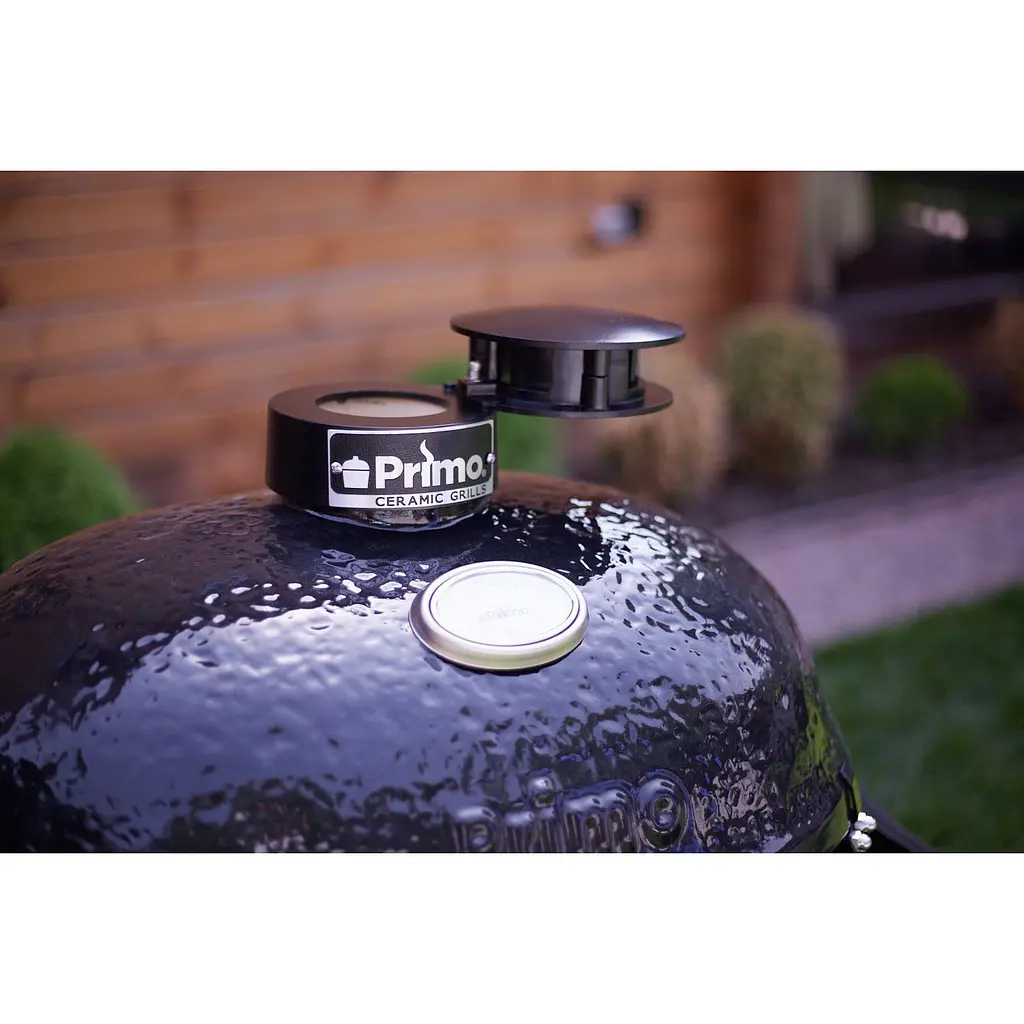 Керамический угольный гриль Primo Large Oval All in One (PGCLGCG) - фото 11