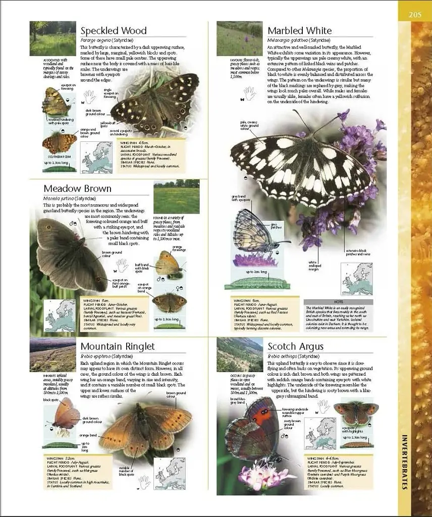Wildlife of Britain and Ireland - фото 14