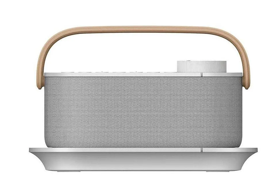 Портативна акустика Sony SRS-LSR200 - фото 5