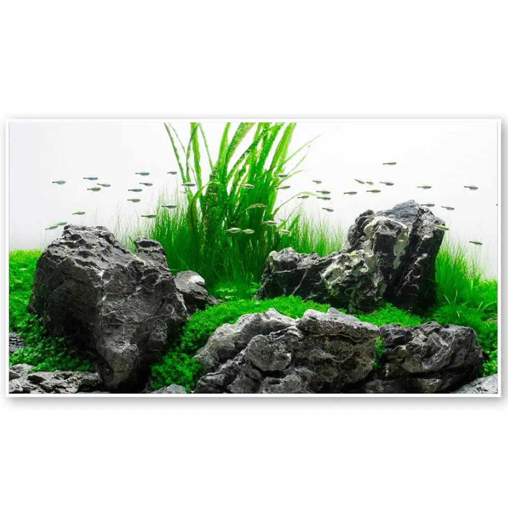 Двосторонній фон для акваріума Amazonia, 30×60 см