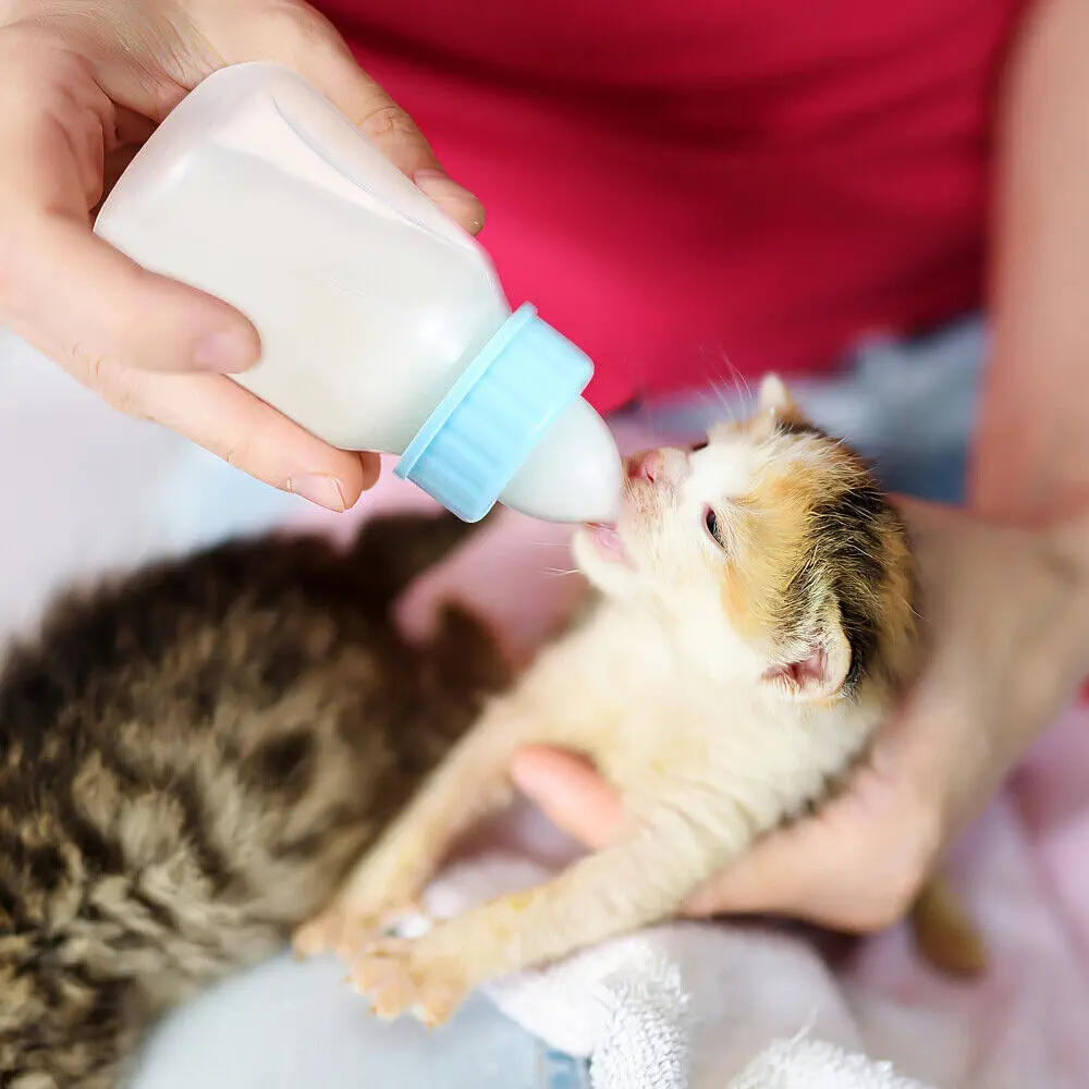 Набір для годування щенят: Молочна суміш Markus-Muhle Puppy Milk + пляшка Pet Nursing Bottle Kit - фото 6