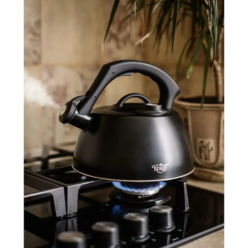 Чайник со свистком Krauff Grad, 3 л (26-159-026) - фото 2