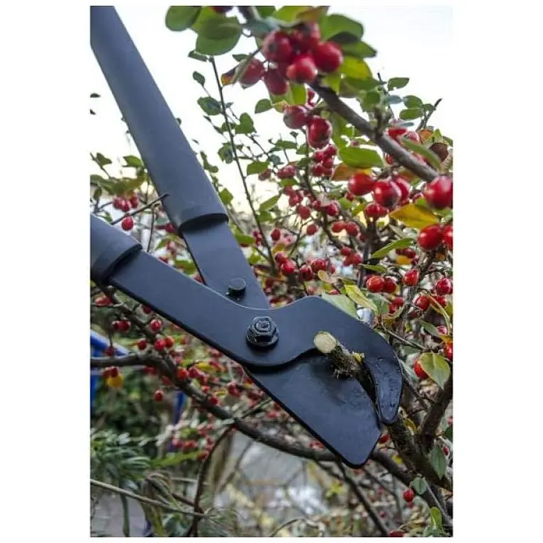 Великий площинний сучкоріз Fiskars SingleStep L38 з загнутими лезами L (1001426) - фото 2