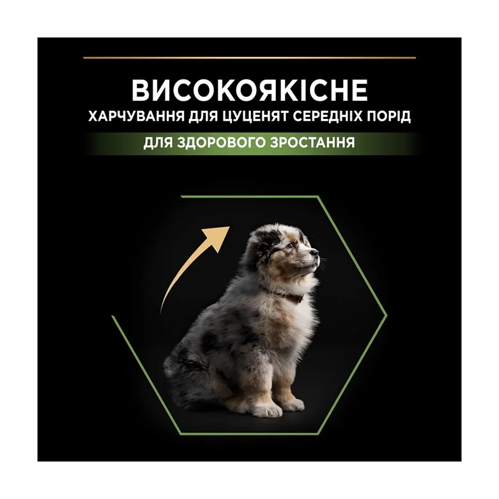 Сухий корм для собак Purina Pro Plan Dog Medium Puppy з високим вмістом курки 12 кг (7613035120402) - фото 6