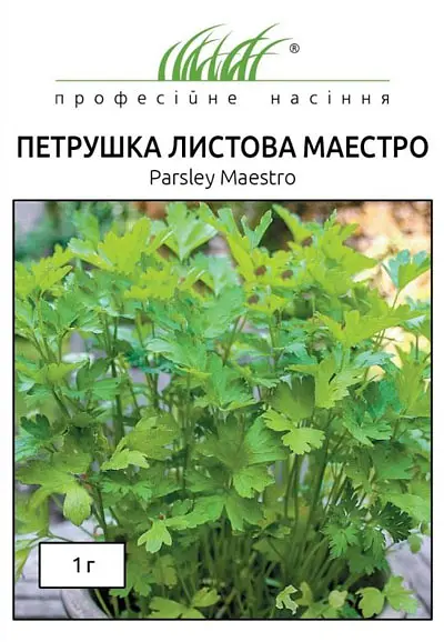 Насіння петрушки листової Маестро 1 г Професійне насіння