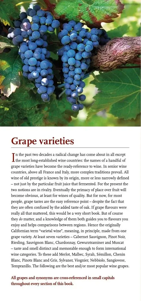 Hugh Johnson's Pocket Wine Book 2019 - фото 2