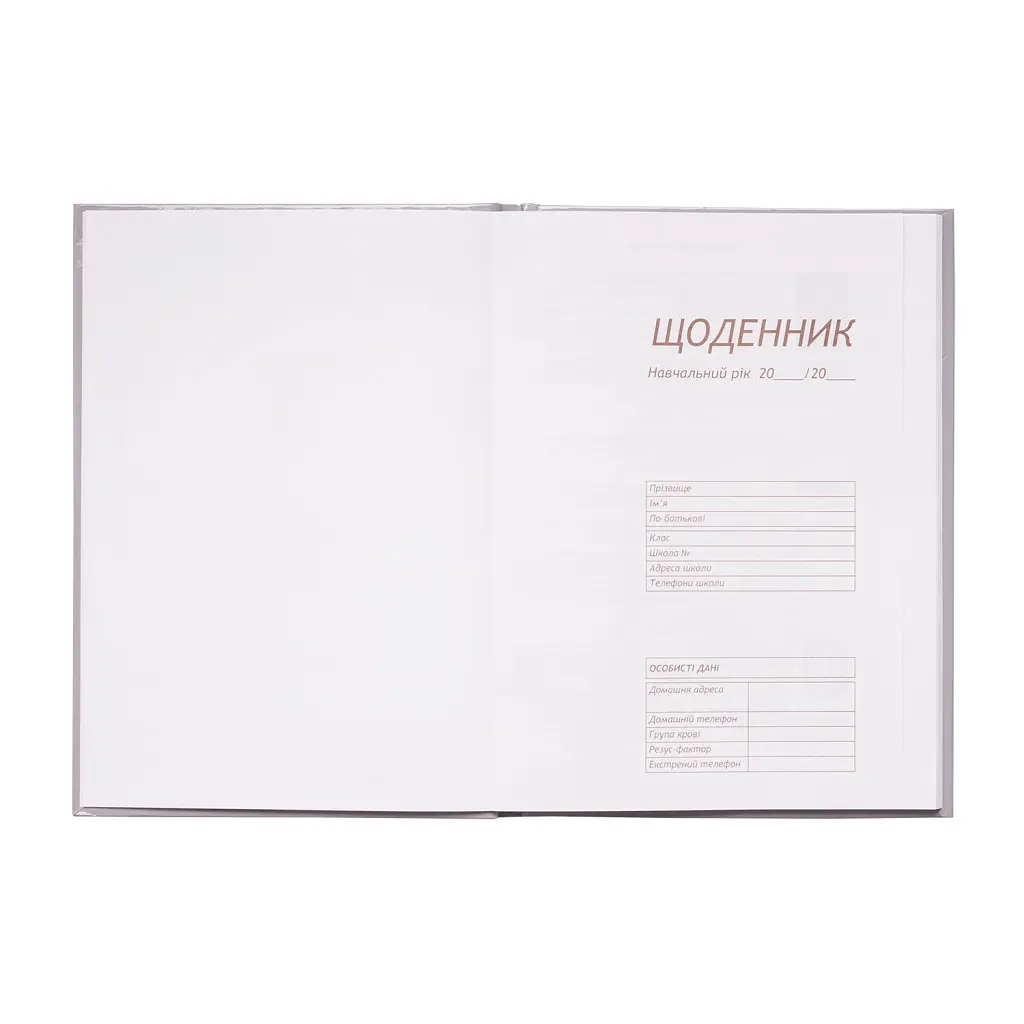 Щоденник шкільний ZiBi Romantic B5 48 аркушів (ZB.13817) - фото 2