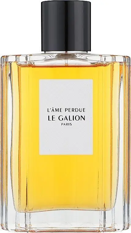 Оригінал Le Galion L'ame Perdue Тестер 100 мл Парфумована вода