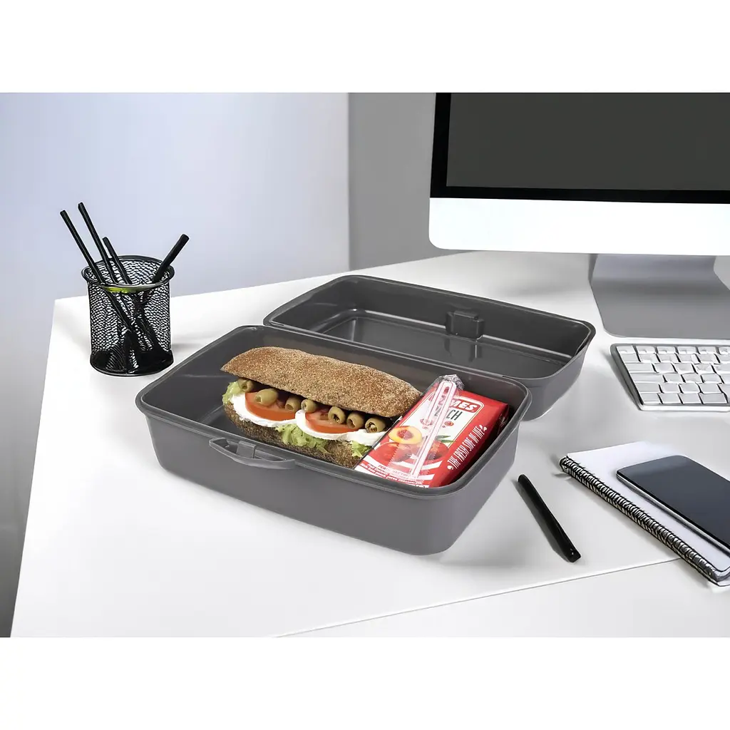 Ланчбокс Herevin Grey Big Lunch Box (161459-801) - фото 2