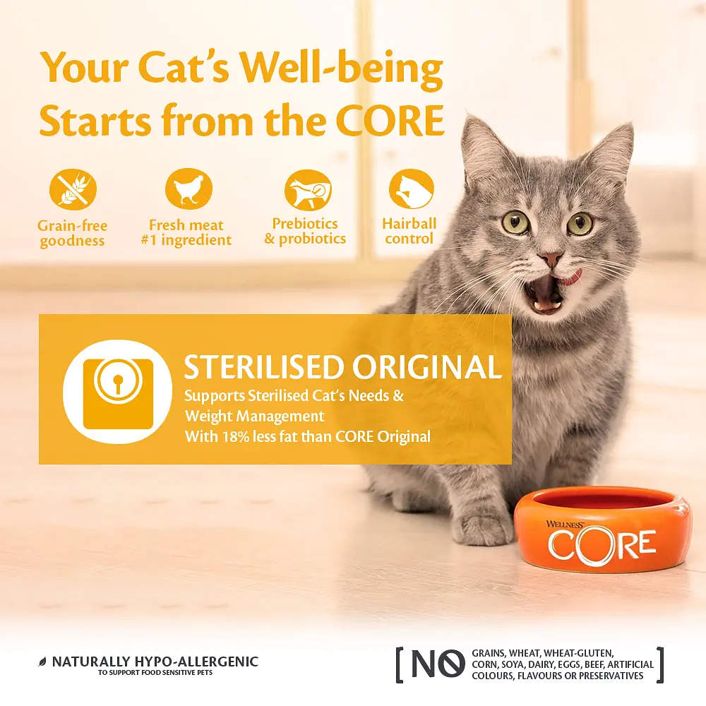 Сухий корм для стерилізованих котів Wellness CORE Sterilised Original з куркою та індичкою, 4 кг - фото 2