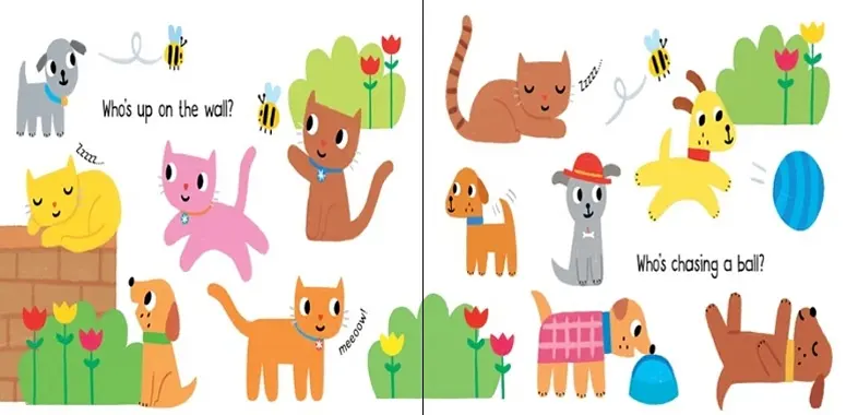 Who's Wearing a Hat? - Sam Taplin, англ. язык (9781474941105) - фото 2