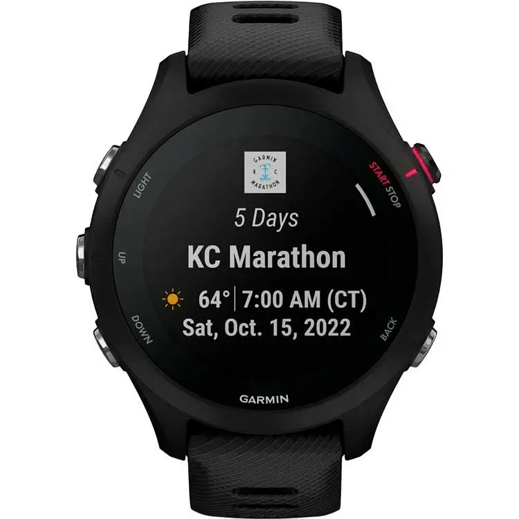 Смарт-годинник Garmin Forerunner 255S Music Black (010-02641-22) [89373] - фото 2