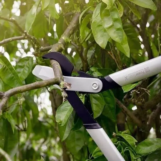 Сучкоріз Fiskars PowerGearX площинний (S) LX92 112260 (1020186) - фото 3