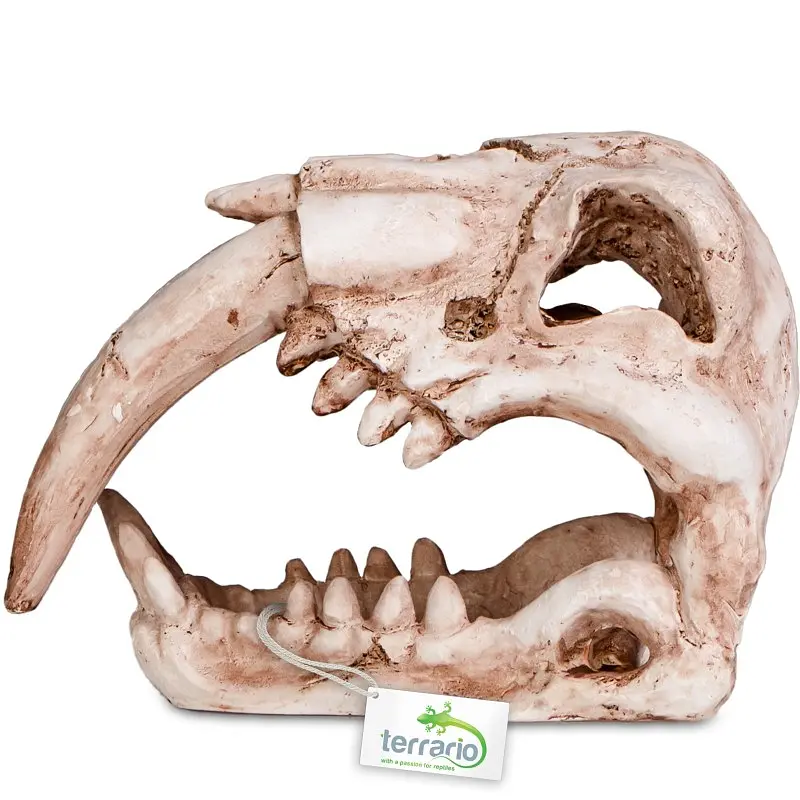Декорація череп тигра Terrario Sabertooth Skull 13x8,5x11см (15911) - фото 5