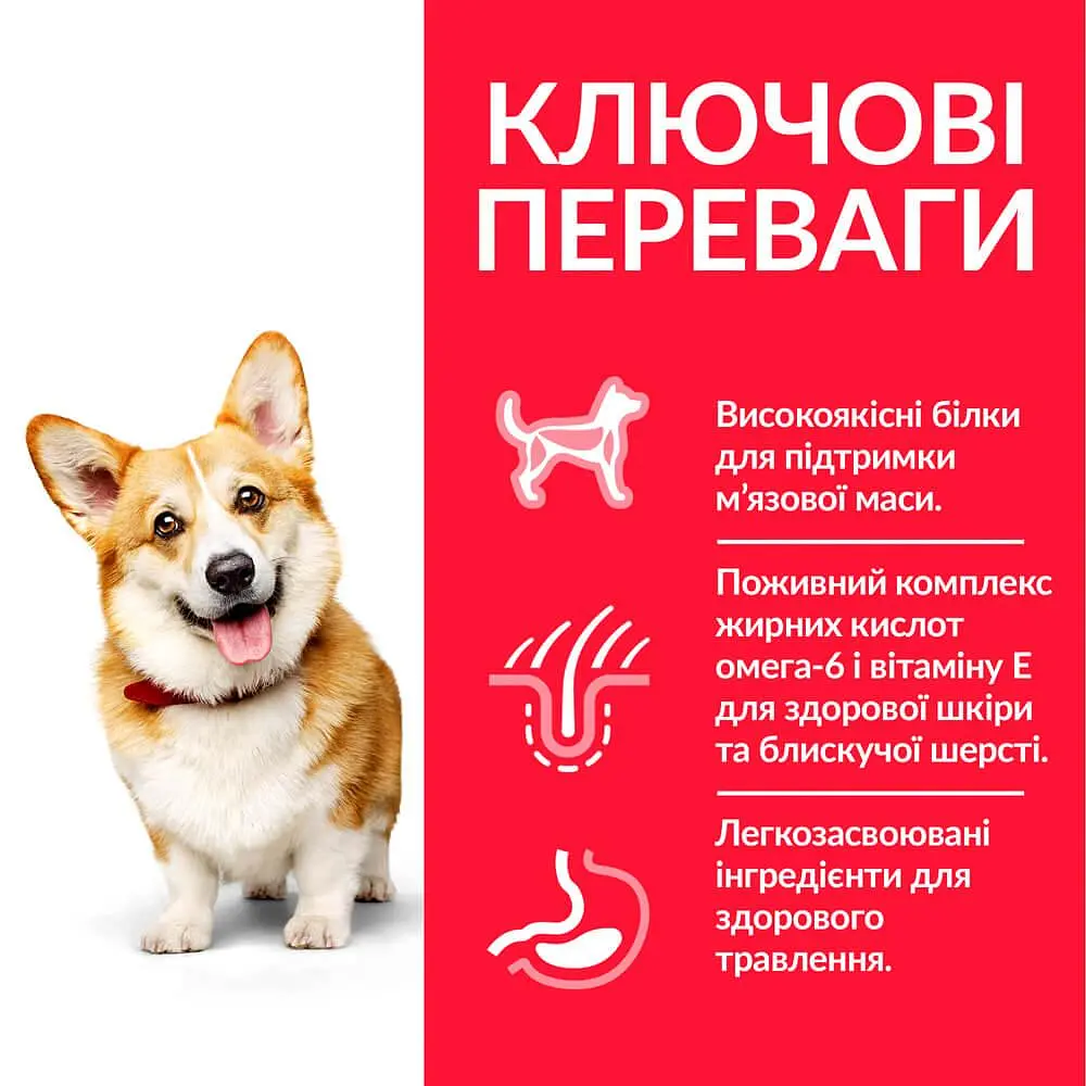 Сухой корм Hill's SP Adult Small&Mini для взрослых собак малых и миниатюрных пород с курицей 3 кг - фото 2