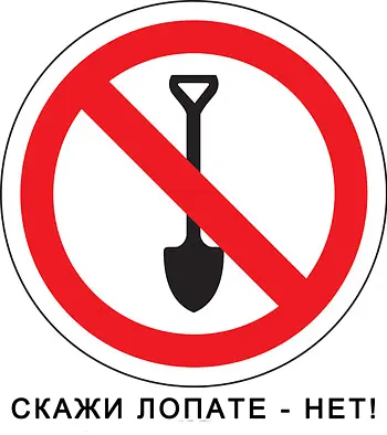 Плоскоріз Фокіна   - фото 4