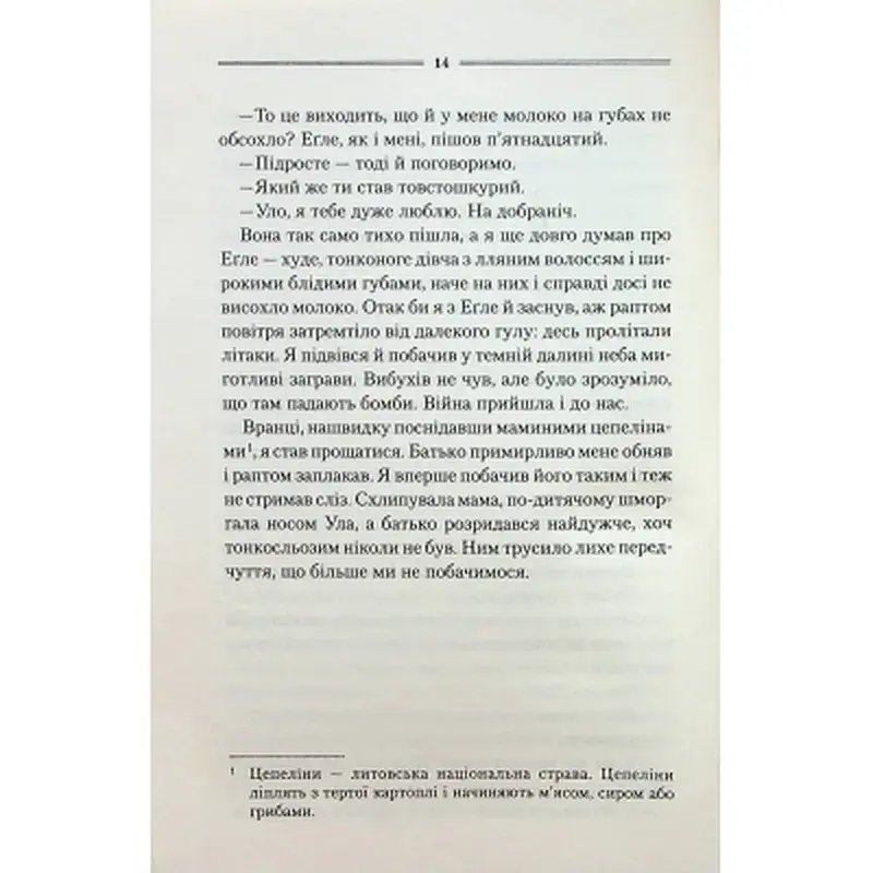 Книга Заячий костел - Василь Шкляр КСД (9786171511378) - фото 10