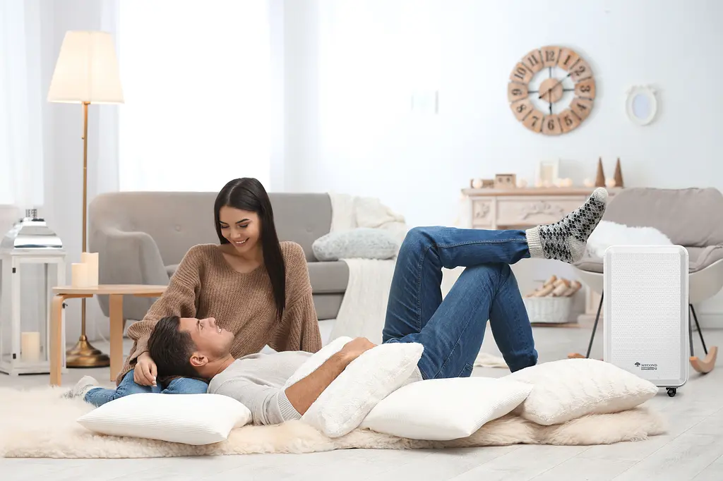Осушувач повітря Mycond Roomer Smart 12 - фото 9